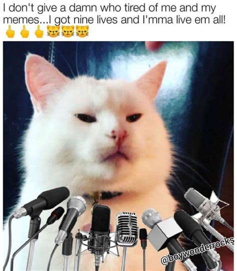 Smudge The Cat Meme Template