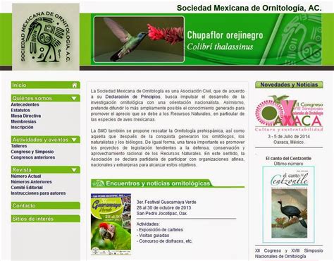 Sociedad Mexicana De Ornitología A C Nauhyacacoatl Proyectos