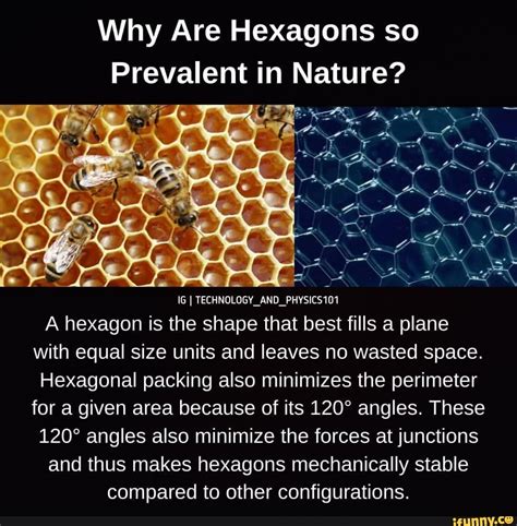Hexagons Memes Best Collection Of Funny Hexagons Pictures On Ifunny