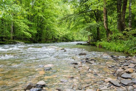 River Flowing Through The Great Smoky Mountain National Park Stock