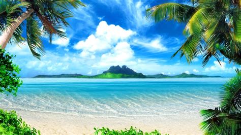 Wallpaper Palm Trees Beach Sea Paradise Desktop Hd Tropical Beach