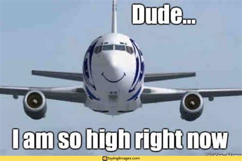 20 Airplane Memes That Will Leave You Laughing For Days Airplane Humor