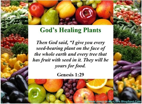 Then God Said I Give You Every Seed Bearing Plant On The Face Of The