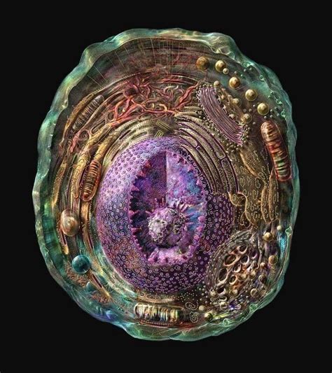 The Most Detailed Representation Of A Human Cell To Date Obtained From