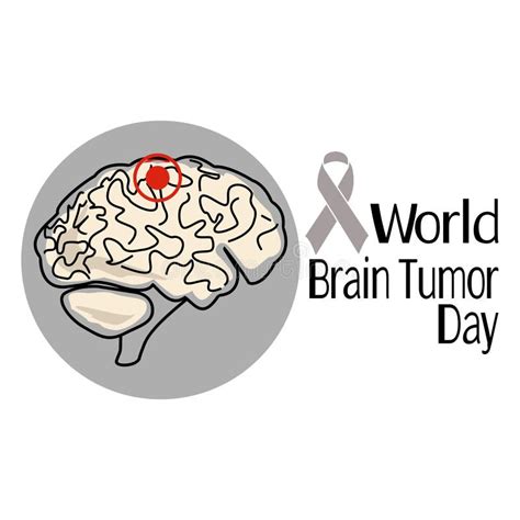 World Brain Tumor Day Schematic Representation Of The Human Brain With