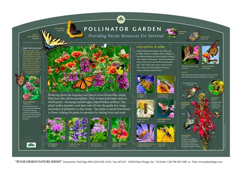 Outdoor Interpretive Nature Trail Sign In Insect And Pollinator Series