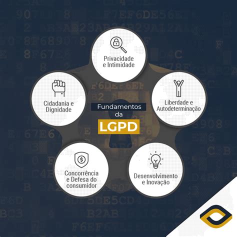 Fundamentos da LGPD saiba como cada um funciona e os princípios que visam te proteger