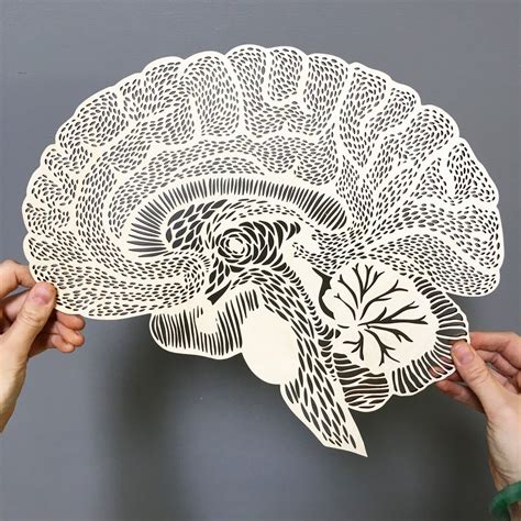 Anatomical Brain Lasercut Wooden Artwork | Light + Paper