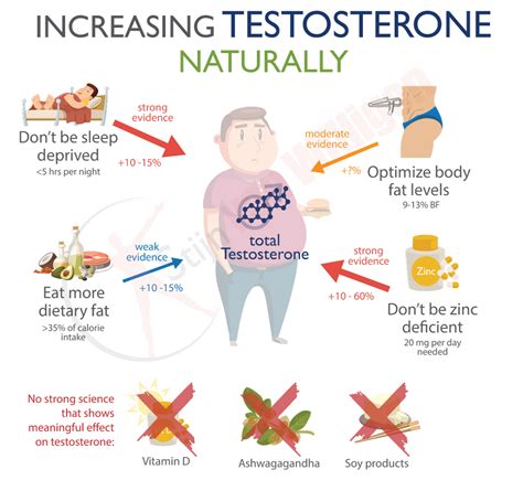 How To Boost Testosterone How To Boost Testosterone