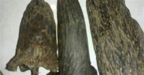 Jual kayu gaharu malinau kalimantan terbaru 2021. Kayu Gaharu Trader - Pembeli Kayu Gaharu: Pembeli Kayu ...