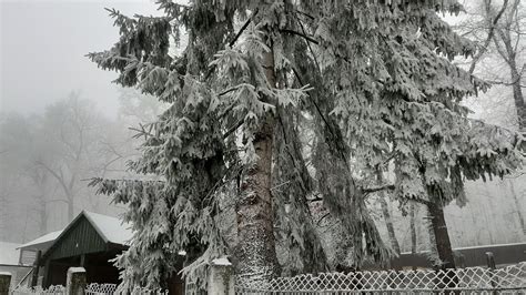 Roman24 Moş Nicolae Vine Cu Frig şi Zăpadă în Mai Multe Zone Din ţară