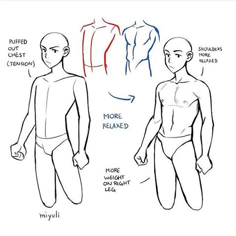 Upper Body Tips For Drawing