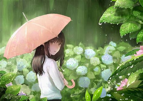 Anime Original Chica Original Anime Lluvia Paraguas Fondo De