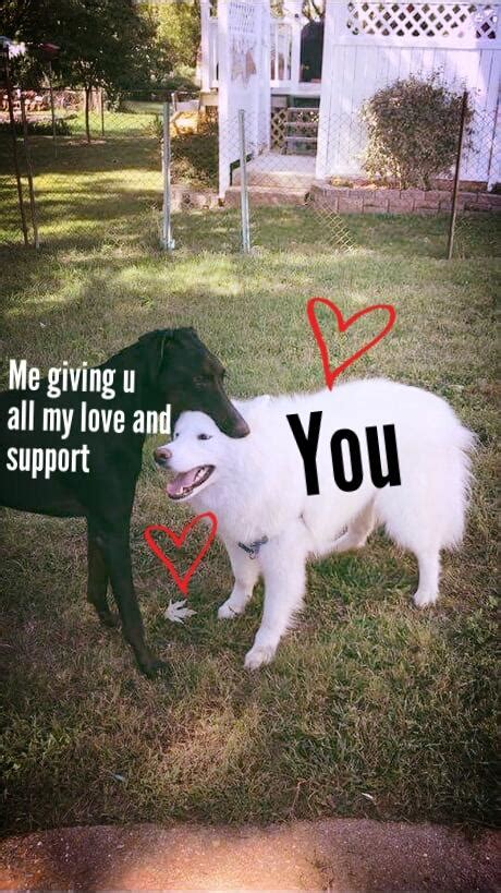 All My Love And Support Meme