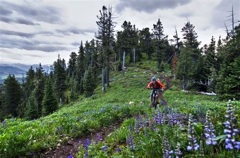Desaru is not a well developed resort, but there are a lot of things to do while you are there. Top 10 Things to Do in Bozeman, Montana