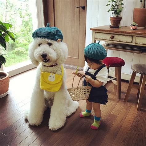 Adorable 1 Year Old Girl And Giant Poodle Are Inseparable Friends