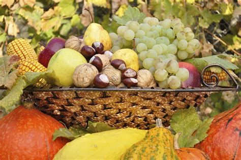 Fruit Varieties - Information About The Classification Of Fruits