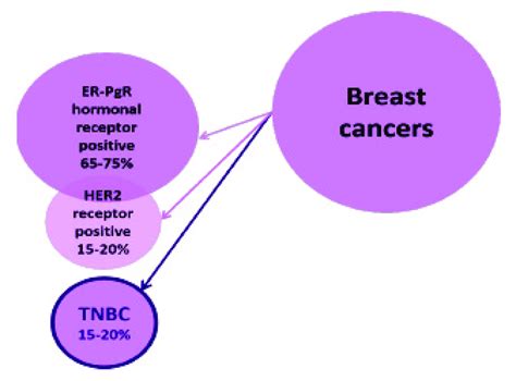 Percentages Of Breast Cancers According To ER PgR And HER2 Receptors