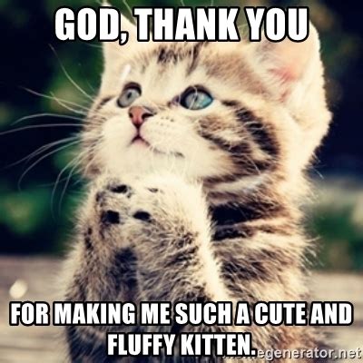 Lovely images of thank you notes. God, thank you for making me such a cute and fluffy kitten ...