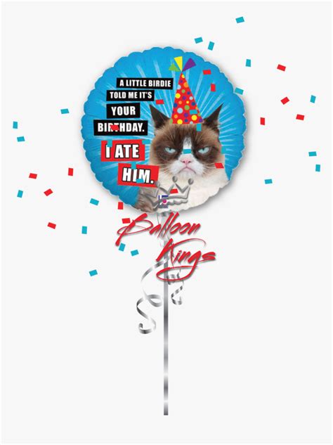 Hb Grumpy Cat Get Well Soon Balloon Transparent Hd Png Download