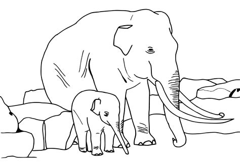 I love this little painting! Asian Elephant Coloring Pages - GetColoringPages.com