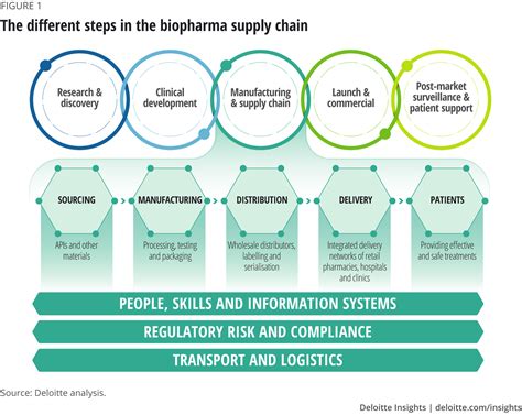 The Different Steps In The Biopharma Supply Chain Supply Chain Model