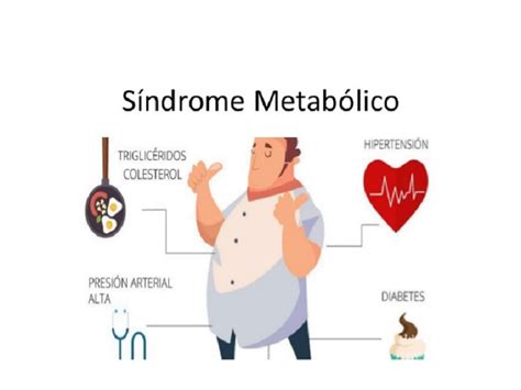 Síndrome metabólica sintomas e tratamento Saúde TudoPorEmail