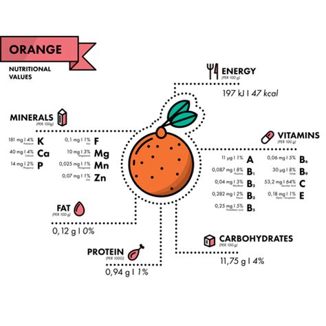 Orange Nutritional Information Vector Free Download