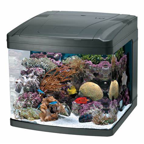 Standard Aquarium Dimensions Chart and Dimensions to Gallons 