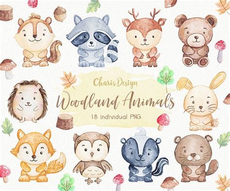Lovely Woodland Clipart Nursery Forest Cute Baby Squirrel Etsy
