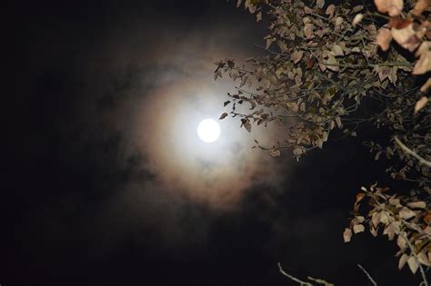 Full Moon Full Moon Night Dark Sky Nature Calm Moonlight Night
