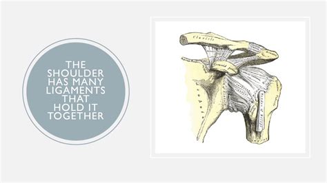 Shoulder Popping With No Pain Good News Or Bad News Regenexx®