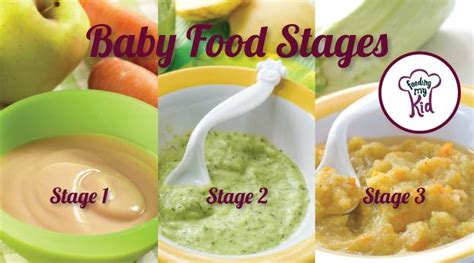 Stage 1 baby food recipes are the first thing that your little one needs when she starts eating solid foods. Differences in Baby Food Stages and Puree Texture ...