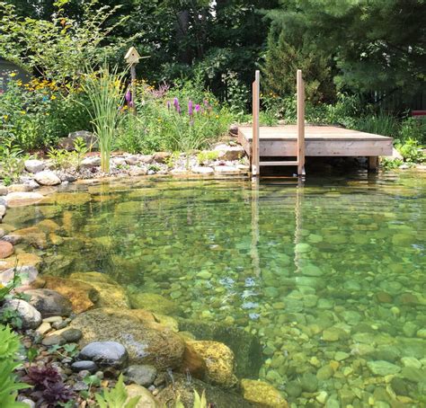 Natural Swimming Pool Pricing Total Habitat Natural Swimming Ponds