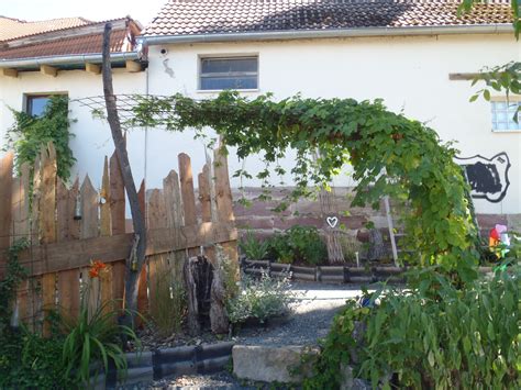 Mit dem passenden rankgitter können bestimmte arten auch eher unschöne stellen im garten verzieren und somit pflanzen ermöglichen, dort zu wachsen und zu blühen. Rankhilfe für Hopfen (Baustahlmatte) | Garten, Rankhilfe ...