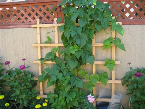 Easy Vertical Gardening Ideas For Beginners Dengarden