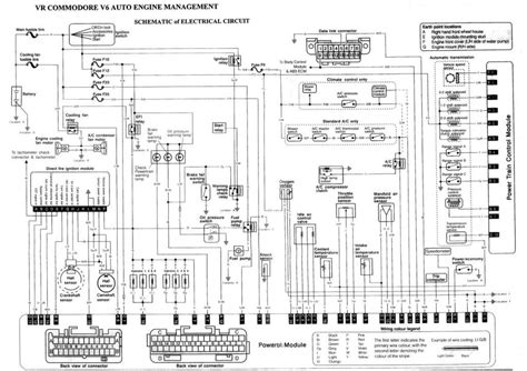 Wiring view and schematics diagram. Vs V6 Commodore Ecu Wiring Diagram - Wiring Diagram