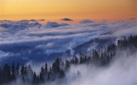 Nature Landscape Yosemite National Park Mist Forest Clouds Trees