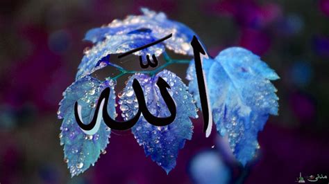 Download Wallpaper Allah Names The Of In Name By Elizabethc Name Of Allah Wallpaper Allah