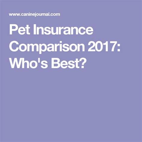 Discover the best deals from the best pet insurance providers. What's The Best Pet Insurance Company For 2020 | Pet ...