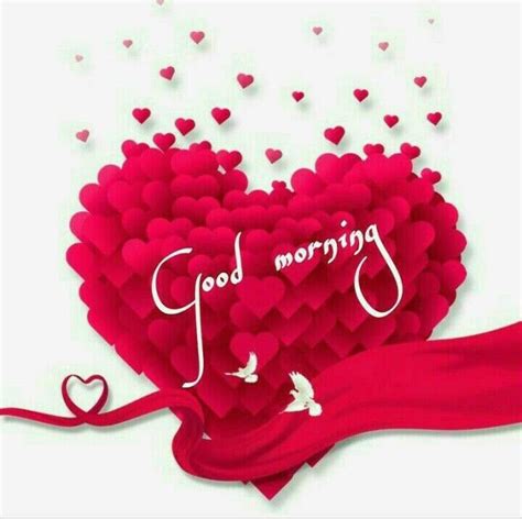 Pin By Bhupendra On Good Morning Good Morning Love Good Morning