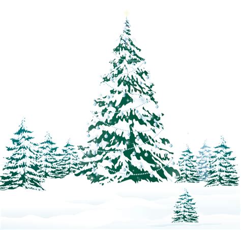 Winter Forest Png Transparent Image Download Size 600x571px