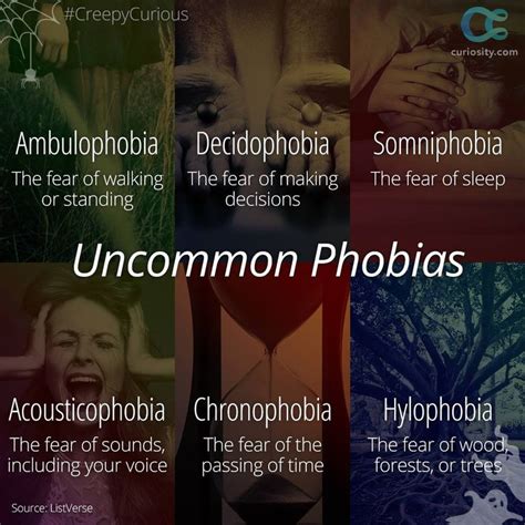 Curiosity Timeline Photos Facebook Phobia Words Phobias Unusual