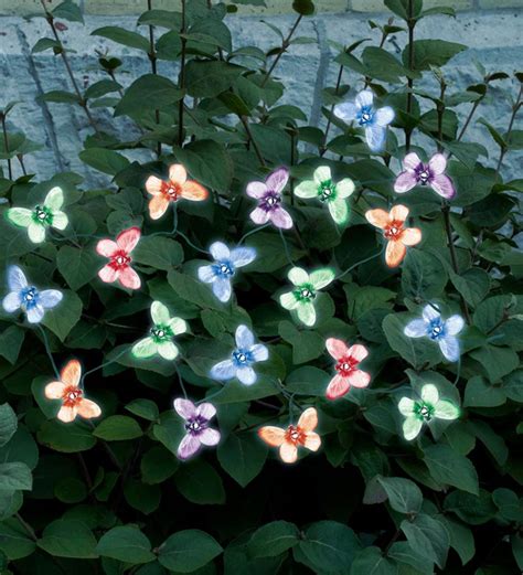 20 Led Multi Color Butterflies Solar Light String Wind And Weather