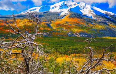 Wallpaper Autumn Snow Trees Mountains Colorado Usa Aspen Images