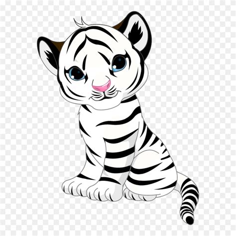 Drawing Tigers Cute Baby Cartoon Baby White Tiger Clipart 5352892