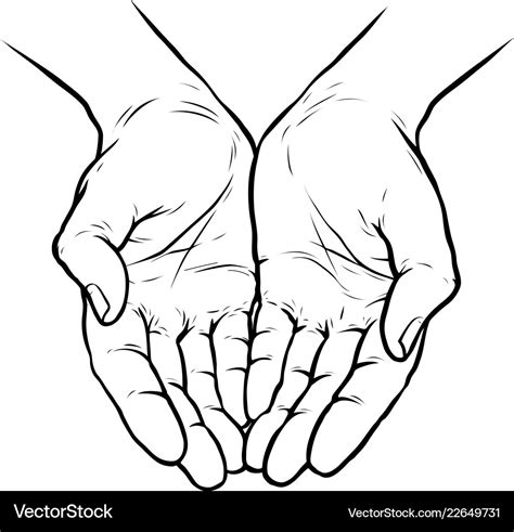 Hands Cupped Together Sketch Royalty Free Vector Image