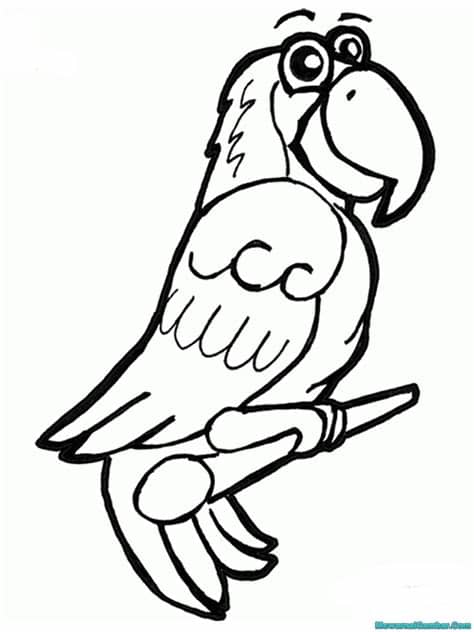 Gudang Gambar Kartun Burung Kakak Tua | Phontekno