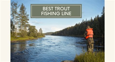 For still fishing with bait or casting spinners and spoons, 4 pound test monofilament or fluorocarbon line is ideal. Best Trout Fishing Line | Fishing My Way