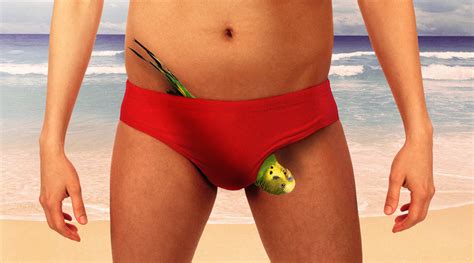 Dads Dont Do Budgie Smugglers The Dad Website